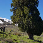 Lebanon mountain trail – درب الجبل اللبناني