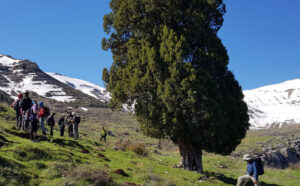 Lebanon mountain trail – درب الجبل اللبناني