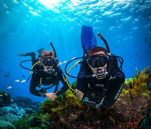 Nemo scuba diving